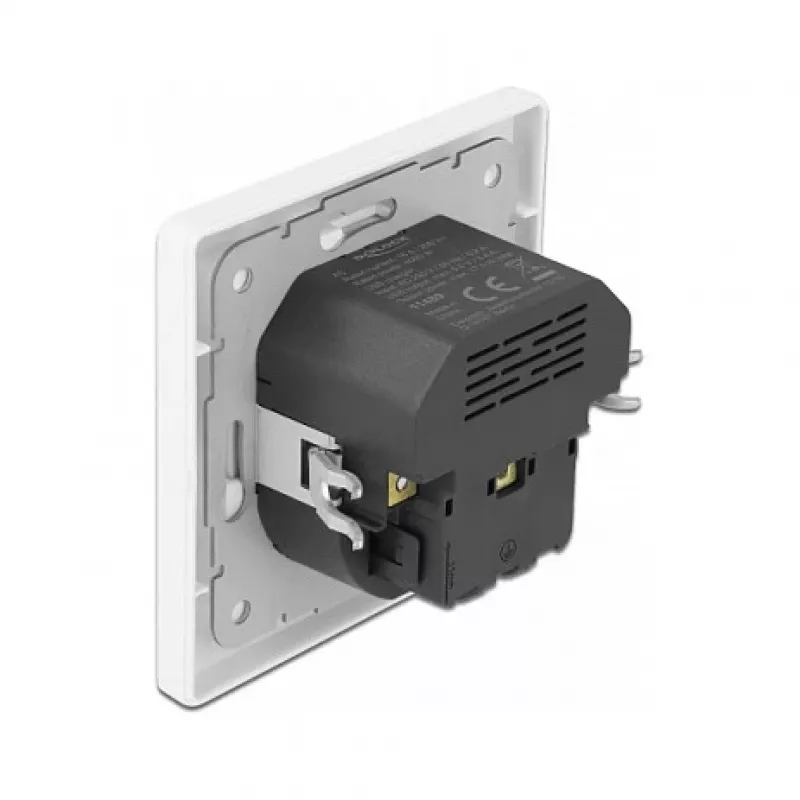 DeLOCK 11489 Kištukinis lizdas CEE 7/3 + USB Baltas 250V 16A