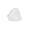 NATEC Crake 2 pelė, universali, dešiniarankiams, RF belaidė + Bluetooth optinė 2400 DPI