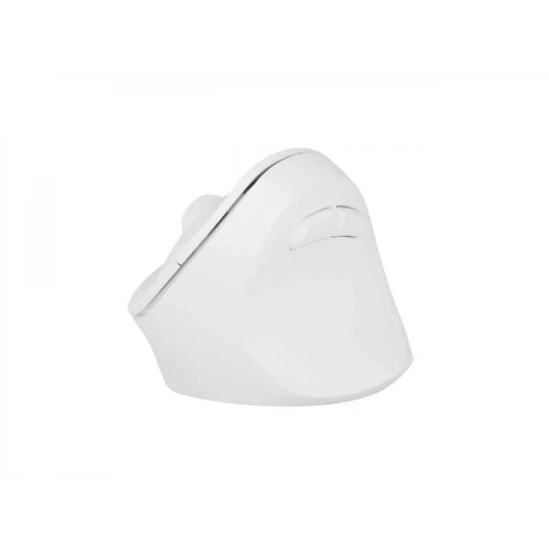 NATEC Crake 2 pelė, universali, dešiniarankiams, RF belaidė + Bluetooth optinė 2400 DPI