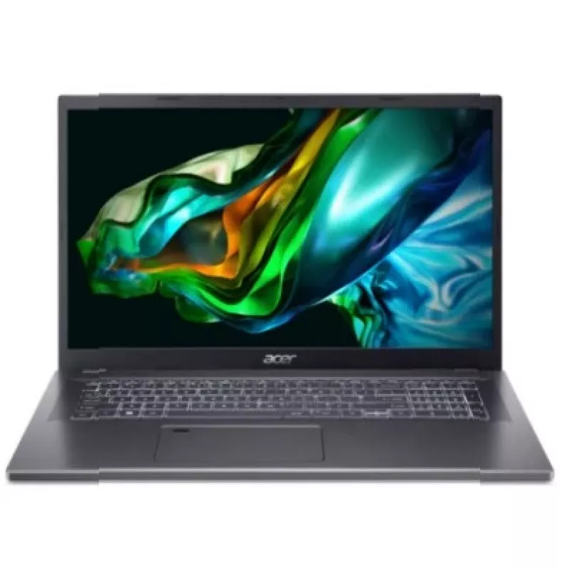 Acer NX.J1UEG.008 Atminties modulis pilka