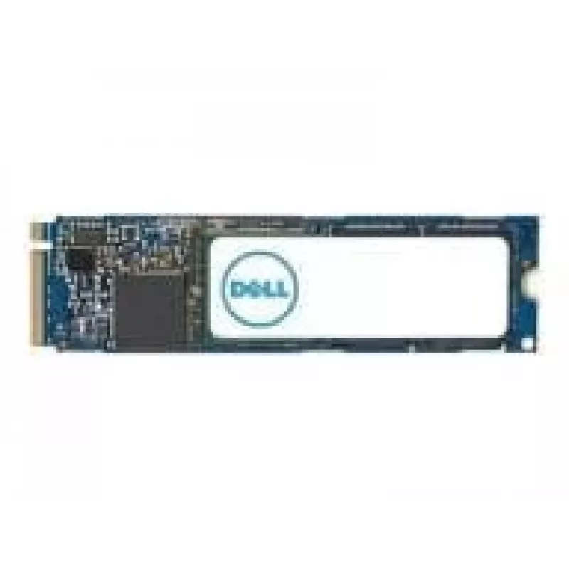 DELL AC037409 vidinis kietojo kūno diskas 1 TB M.2 PCI Express 4.0 NVMe