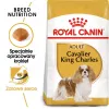 Sausas šunų maistas Royal Canin Cavalier King Charles Adult 1,5 kg — Vištiena, Maža veislė, Odos ir kailio, Širdies palaikymas