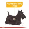 Šlapias šunų ėdalas Royal Canin Dermacomfort Adult 85 g pakelis — jautriai odai, paukštienos skonio, 78 % drėgmės