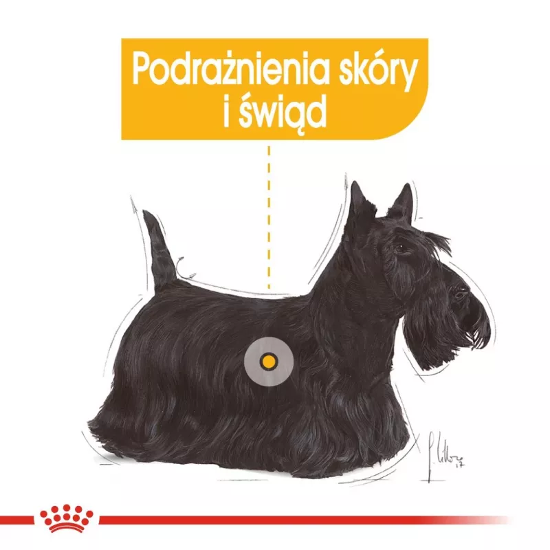 Šlapias šunų ėdalas Royal Canin Dermacomfort Adult 85 g pakelis — jautriai odai, paukštienos skonio, 78 % drėgmės