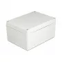 DeLOCK montavimo korpusas, IP65 atsparus vandeniui, 200 x 150 x 100 mm, pilkas