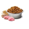 Sausas šunų maistas Farmina N&D Ancestral Grain Adult Chicken 15 kg — 27% baltymų, 16% riebalų