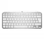 Klaviatūra MX Keys Mini Mac Pale 920-010526 pilka