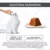 šlapias kačių maistas Purina Nestlé Gourmet Revelations Chunks in Jelly with Chicken 2 x 57 g, adult, protein 9%, moisture 83%