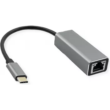 ROLINE USB3.2 Gen2 Type C - 5 Gigabit Ethernet keitiklis - skaitmeninis / duomenų (12.02.1113)