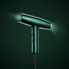 BaByliss Air Power Pro plaukų džiovintuvas 1700 W Auksinis, Žalias