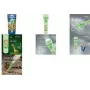 Rankinis žibintuvėlis Varta Kids Flashlight šviesiai žalias ABS PC 70 val. baterijos veikimo laikas