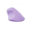 NATEC Crake 2 pelė universali dešiniarankiams RF belaidė + Bluetooth optinė 2400 DPI