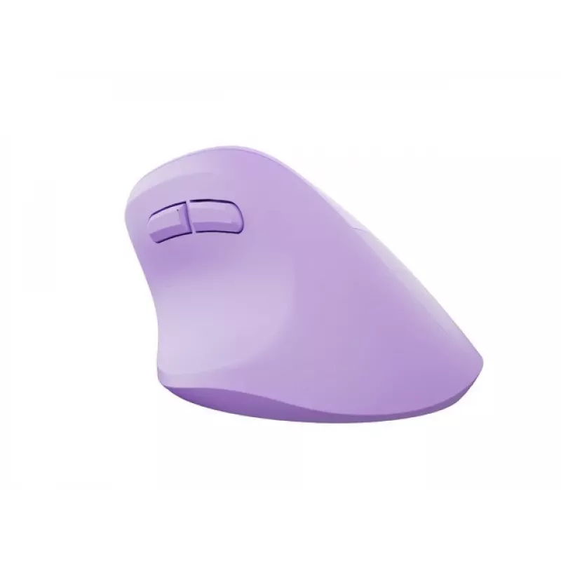 NATEC Crake 2 pelė universali dešiniarankiams RF belaidė + Bluetooth optinė 2400 DPI