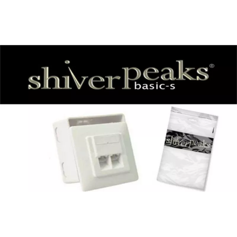 Tinklo lizdas ShiverPeaks BASIC-S Cat. 5e 2 prievadų įleidžiamas montavimas