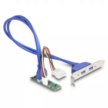 DeLOCK sąsajos plokštės / adapteris 61065 Vidinis USB 3.2 Gen 1 M.2 Vyr.