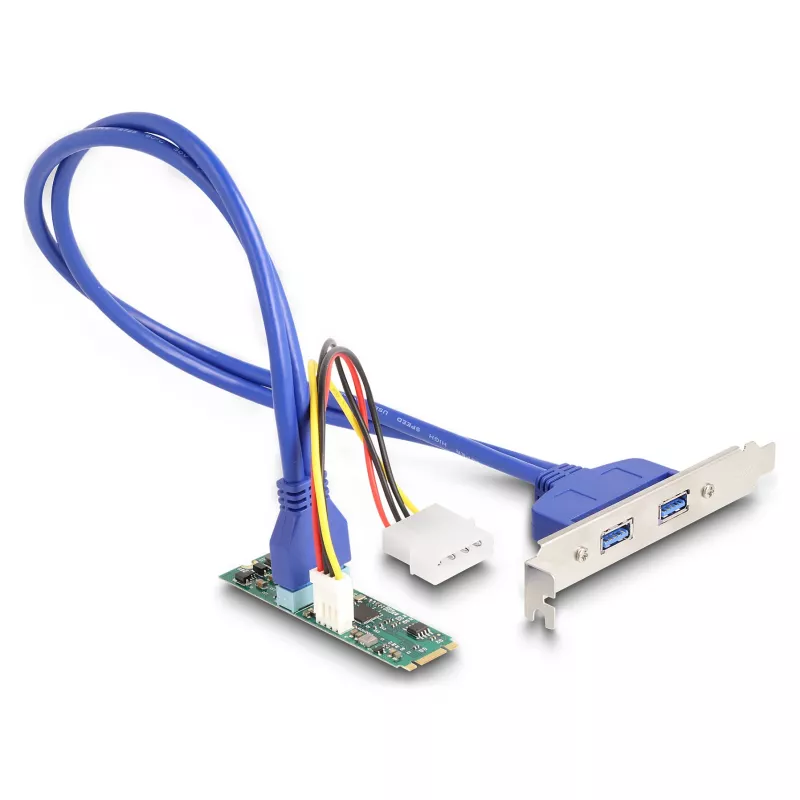 DeLOCK sąsajos plokštės / adapteris 61065 Vidinis USB 3.2 Gen 1 M.2 Vyr.