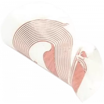 SCOT NFC lipdukas NTAG213 18 mm baltas, RFID žymė, pakuotėje 10 vnt.