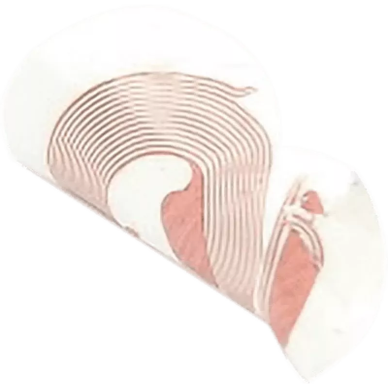 SCOT NFC lipdukas NTAG213 18 mm baltas, RFID žymė, pakuotėje 10 vnt.