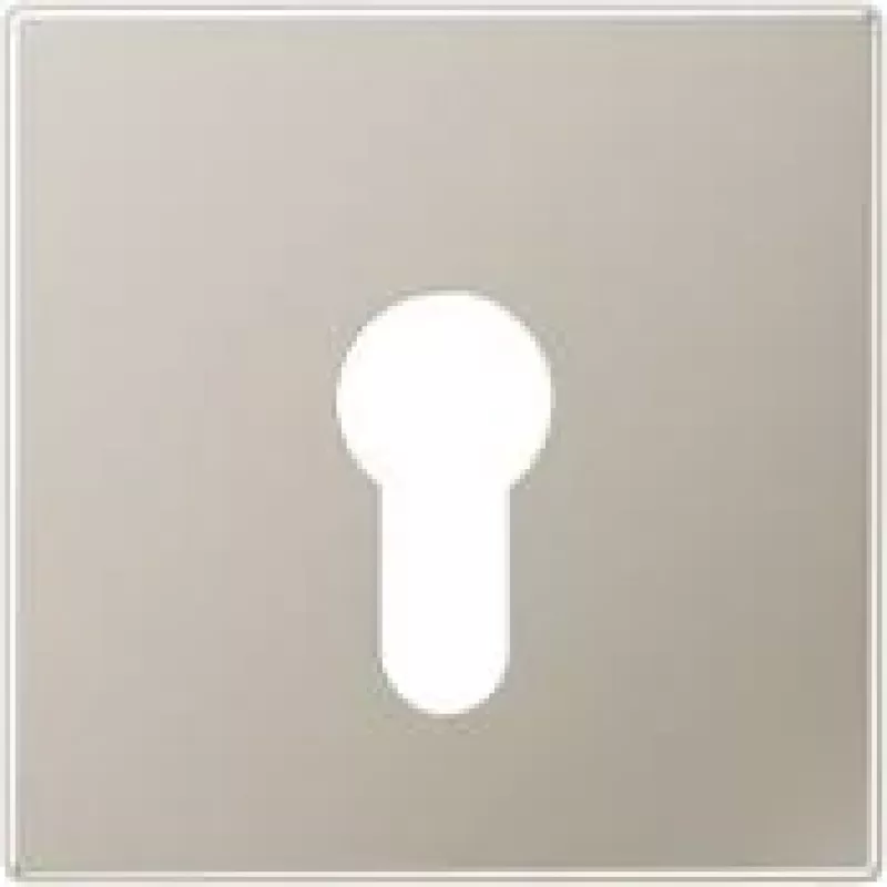 Jung Cover Plate eds for Key Switch ES 2925 (ES2925)