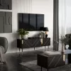 TV spintelė Cama Meble MOUNTAIN 154x40x55 cm — medžio drožlių plokštės viršus, juoda ir auksinė