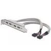 Lizdo laikiklio kabelis USB 2.0 HighSpeed Type 2xIDC (5pin)/4xUSB A M/F pilkas 0,25 m