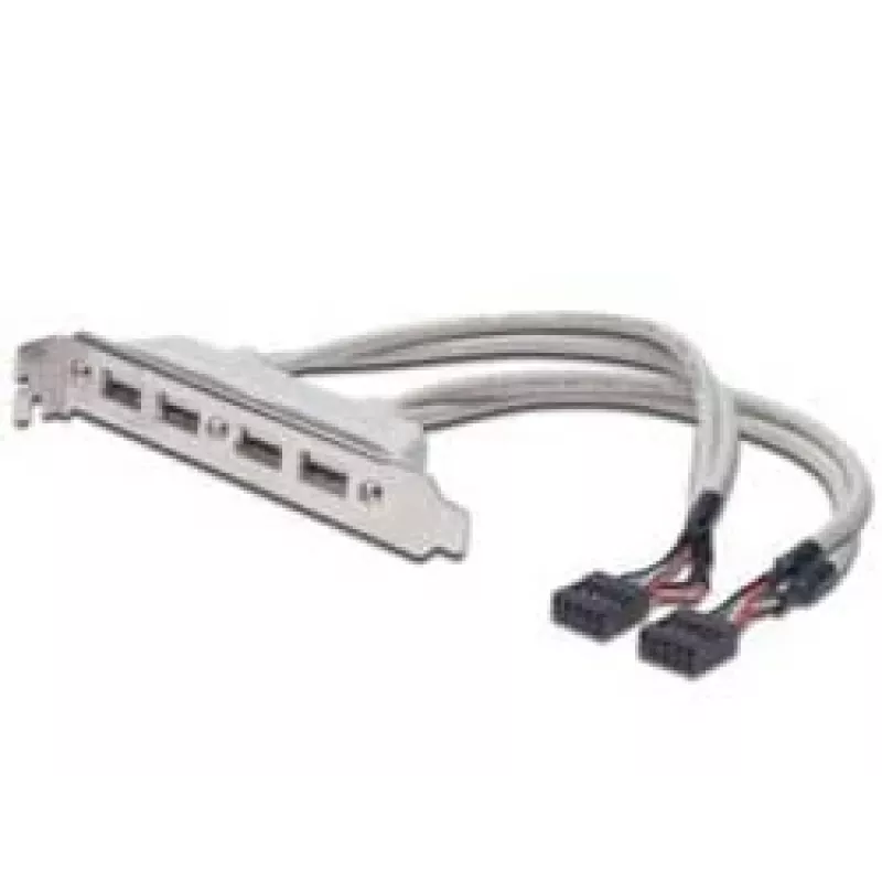 Lizdo laikiklio kabelis USB 2.0 HighSpeed Type 2xIDC (5pin)/4xUSB A M/F pilkas 0,25 m