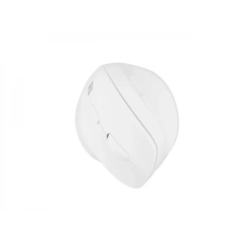 NATEC Crake 2 pelė, universali, dešiniarankiams, RF belaidė + Bluetooth optinė 2400 DPI