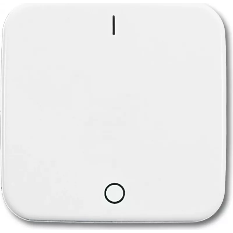 Busch Jaeger 2502-214 White (1731-0-0884)