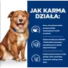 HILL'S Prescription Diet Derm Complete - sausas šunų maistas - 1,5kg