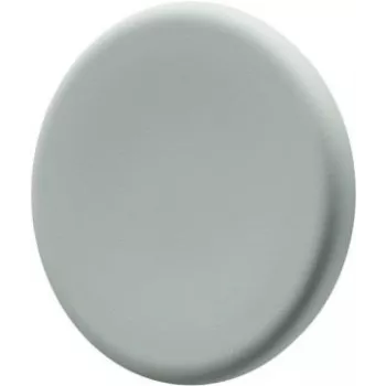 Stiklo lentos magnetukai Legamaster šalavijų žalios spalvos, 5 vnt. rinkinys – metalas, 30 × 7 mm