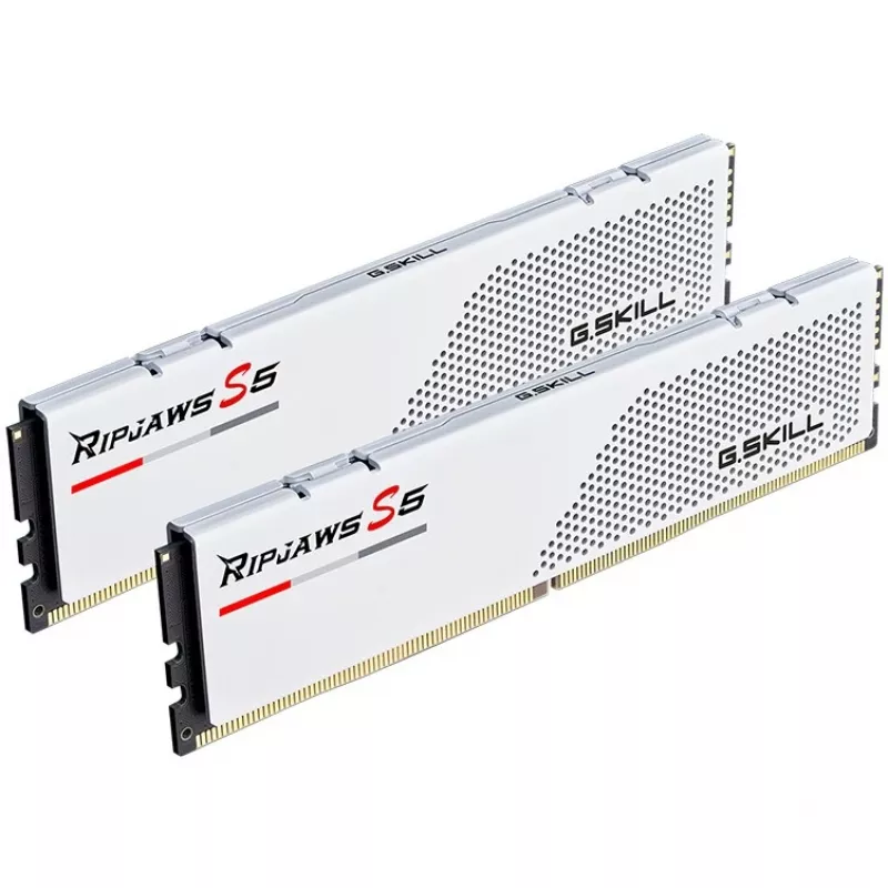 G.Skill F5-6000J3036F24GX2-RS5W atminties modulis 48 GB 2 x 24 GB DDR5 5600 MT/s