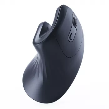 Gembird MUSW-ERGO-03 pelė Namams Dešiniarankiams RF Belaidis Optinis 1600 DPI