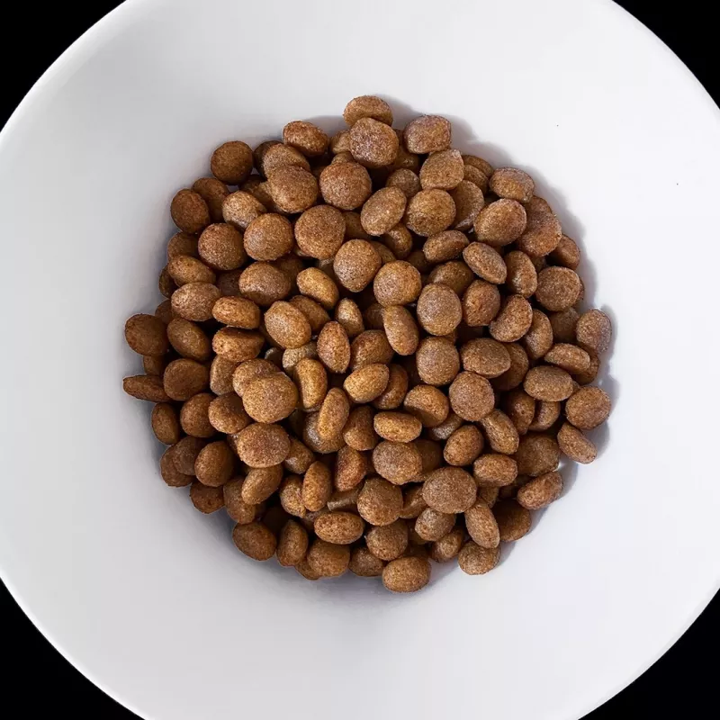 VET RESPONSE Hypoallergenic - sausas šunų maistas - 1,6 kg