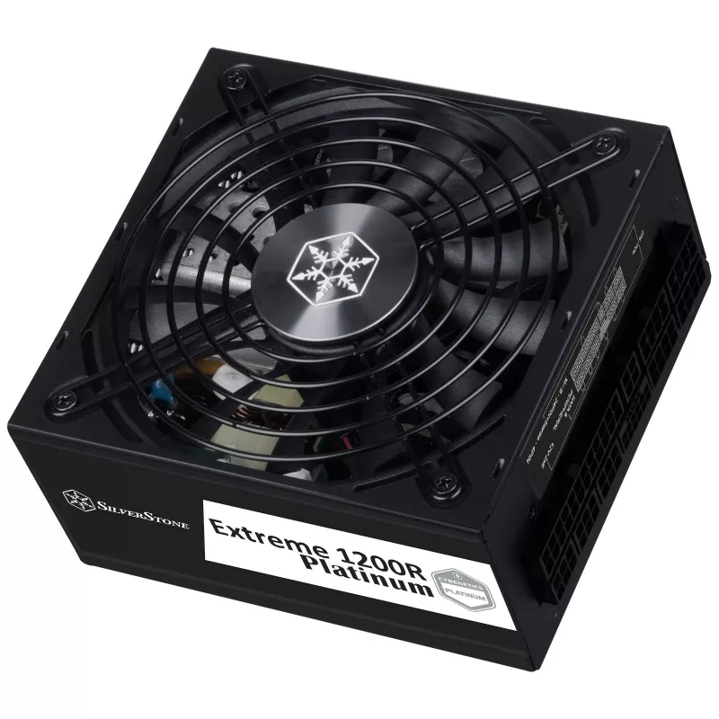 Sidabrinėstone SST-EX1200R-PL platininis maitinimo blokas