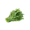 Sėklos juostoje — Apte Rukola (Eruca sativa) 6 m, skirtos auginimui namuose ir sode
