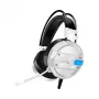 Baracuda BGH-031 Conch Balta