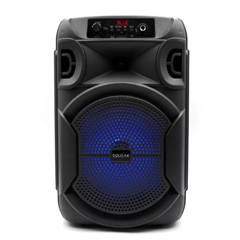 BLUETOOTH GARSIAKALBIS 5.3 E DR PULSETOWER SQ1006