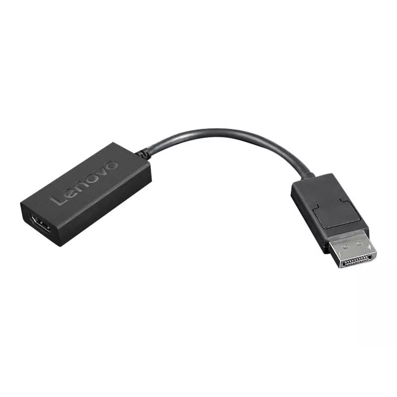 Lenovo 4X90R61023 vaizdo kabelio adapteris 0,225 m DisplayPort HDMI Type A (Standard) juodas