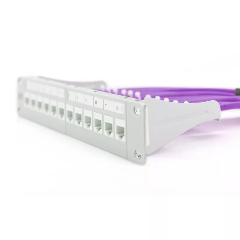 Tinklo kabelis Digitus Cat.6 U/UTP 305m violetinis