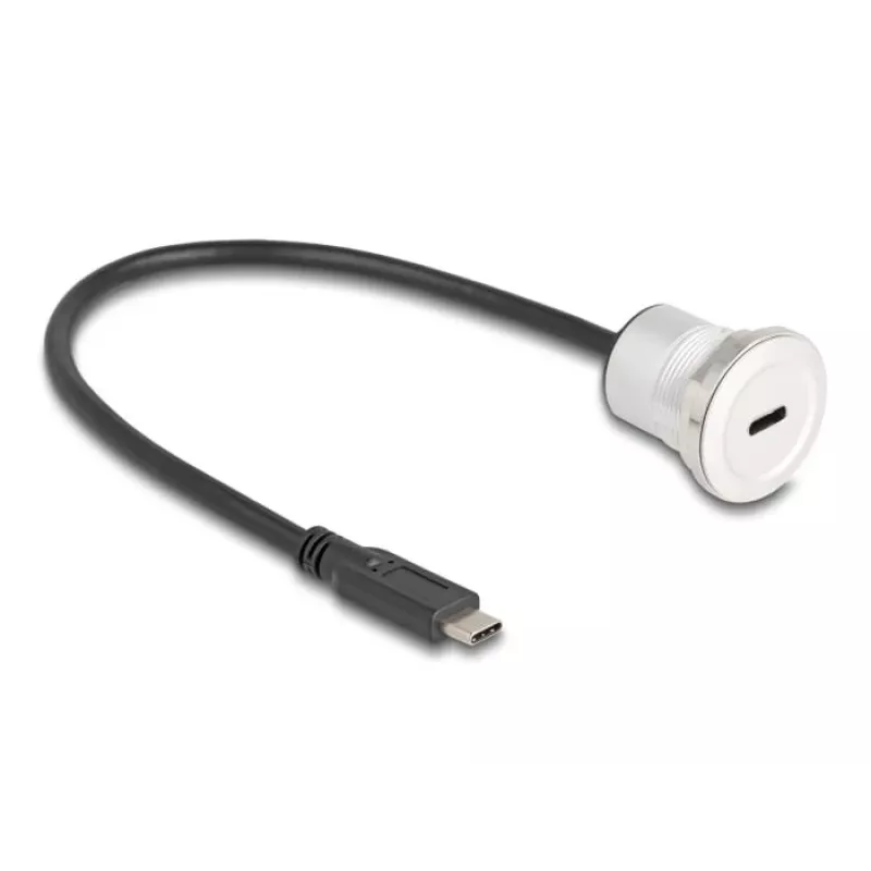 USB laidas DeLOCK 88183 0,3 m USB C juodas sidabrinis