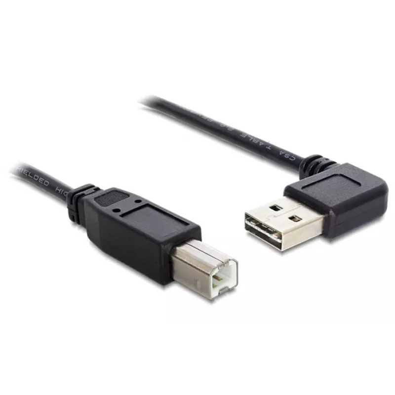 USB laidas DeLOCK 2 m USB 2.0 A - B kištukas/kištukas