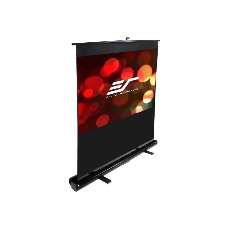 Elite Screens F84NWH