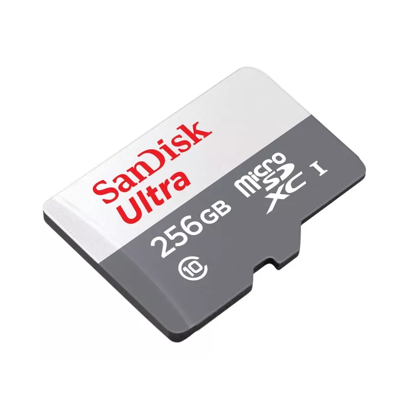 Flash atmintis SanDisk 256 GB MicroSDXC UHS-I SDSQUNR-256G-GN6TA