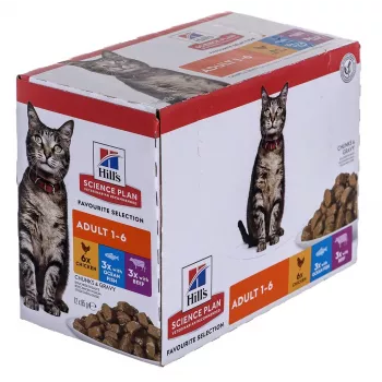 HILL'S Feline Adult Multipack Classic – maišeliai 12x85g