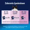Šlapias kačių maistas Purina Nestlé Felix Fantastic Junior 85 g pakelyje — vištiena, 77,5 % drėgmės, 13,5 % baltymų