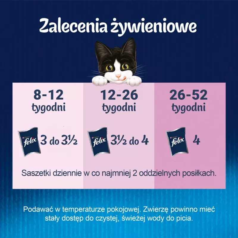 Šlapias kačių maistas Purina Nestlé Felix Fantastic Junior 85 g pakelyje — vištiena, 77,5 % drėgmės, 13,5 % baltymų