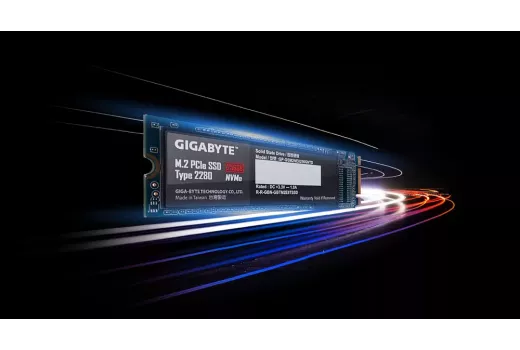Ar 256 GB SSD diskas jums pakaks