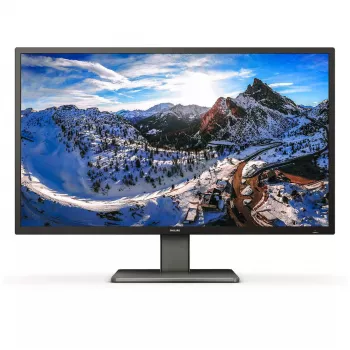Philips P Line 439P1/00 kompiuterio monitorius 108 cm (42,5 col.) 3840 x 2160 pikselių 4K Ultra HD LCD juodas