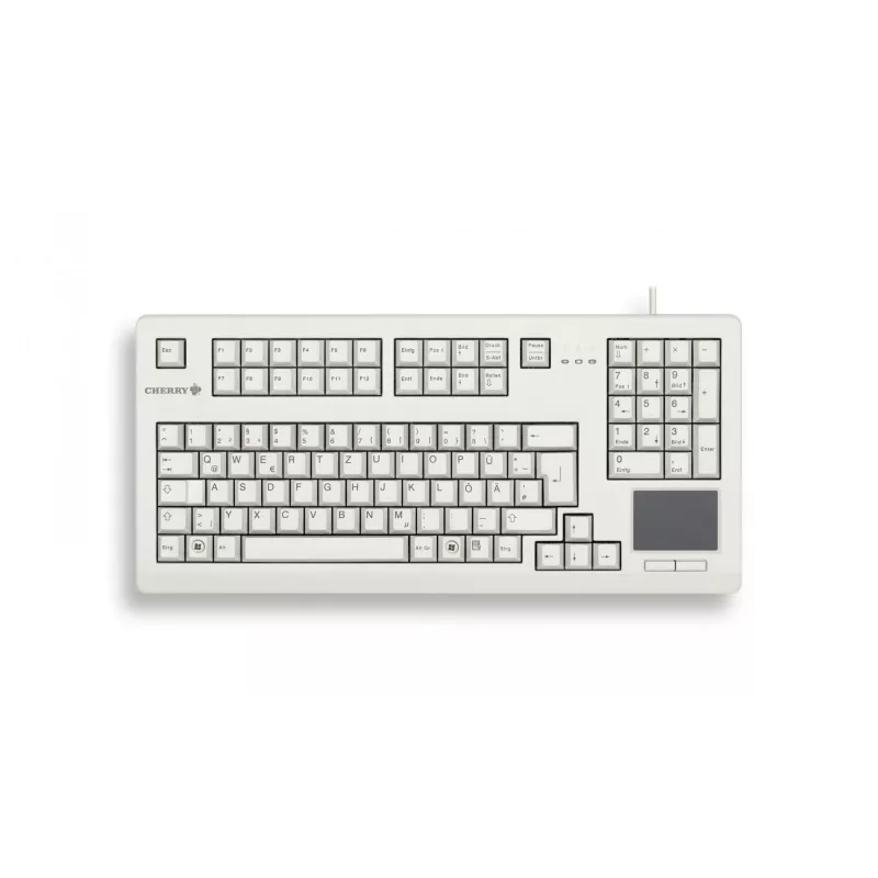 CHERRY TouchBoard G80-11900 klaviatūra Industrial USB QWERTY English Pilka