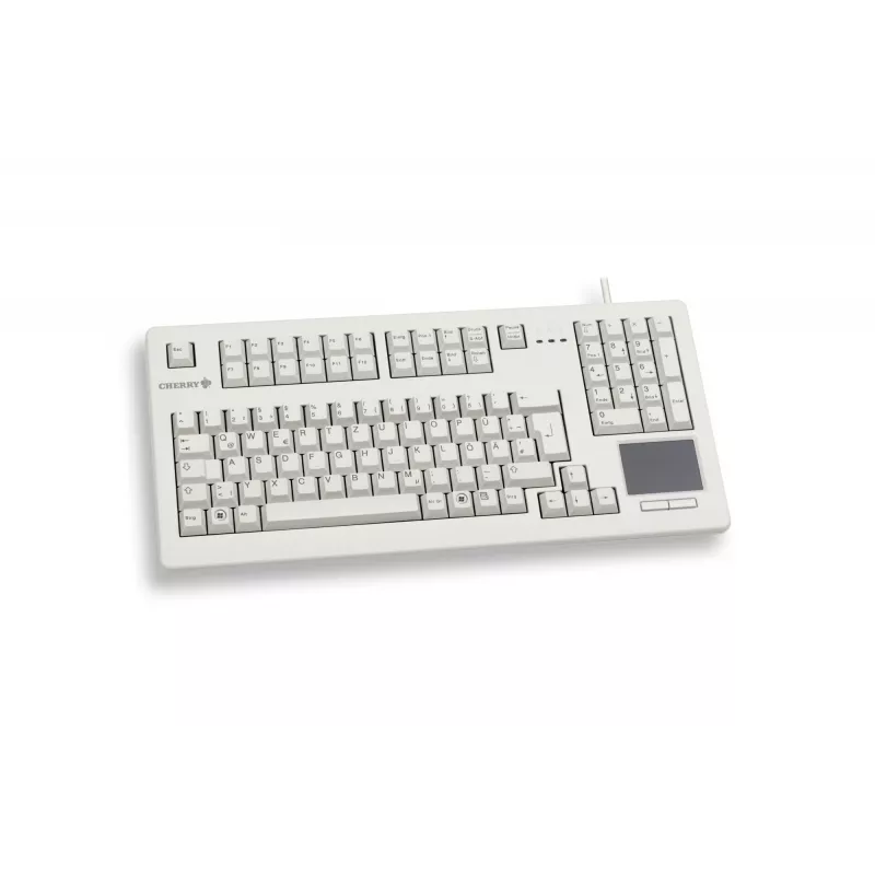 CHERRY TouchBoard G80-11900 klaviatūra Industrial USB QWERTY English Pilka